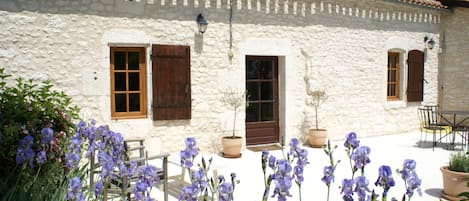 Irises at the front