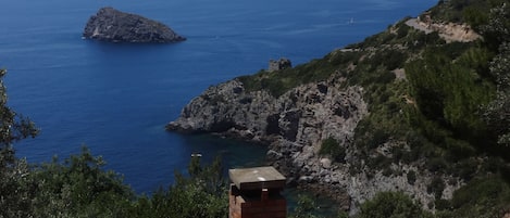 Villa Lentisco è circondata dal mare