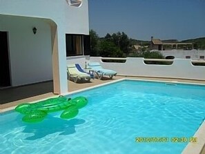 Mr. Turtle in the pool