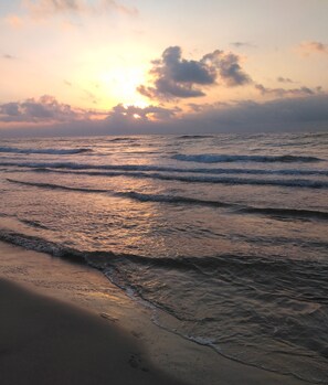 Playa 7 de la mañana Julio 2020