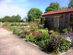 view to horse paddock
