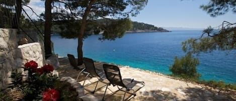 Relax by the sea in the shade of pine trees