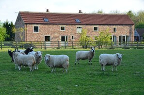 Boendeområde