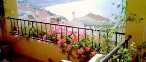 Terraza / Balcón
Tranquilidad, flores y excelentes vistas