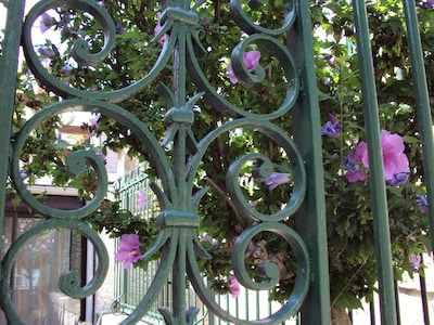 Charming village house in the heart of the Minervois wine region