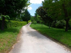 Garten, Park