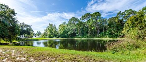 Fantastic conservation view to share with the local wildlife