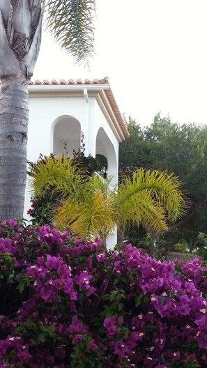 View from outside