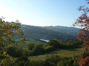 Ausblick