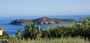 Vue sur la Tour génoise et la Sardaigne