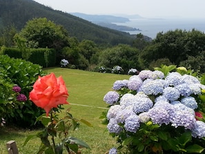 Jardin y cabos