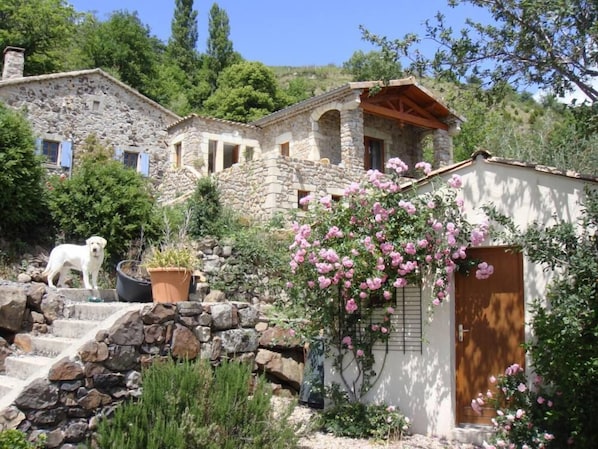 Extérieur