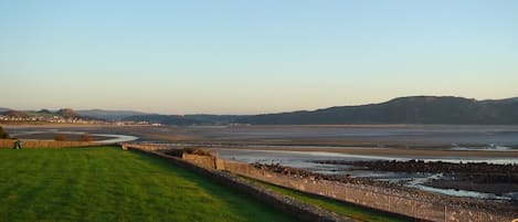 Evening estuary view, low tide.