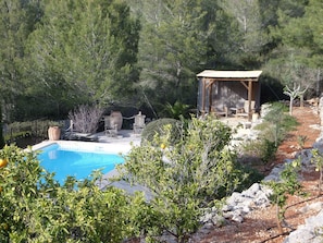 Pool and pergola from taken from upper garden 