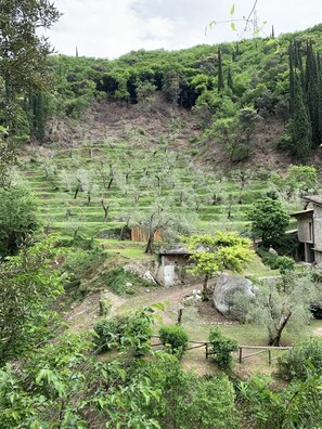 Terrenos do alojamento