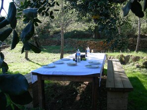 Dining al fresco under shady Algaroba tree