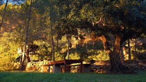 Bancales with treehouse and outdoor dining table