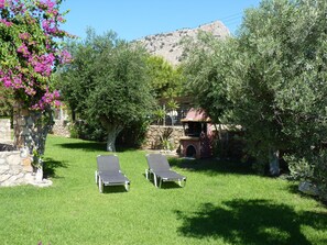 Large garden with Olive Trees and Traditional Greek BBQ