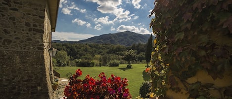 Vista dal Terrazzo dell'appartamento Cipresso