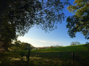 Eight acre meadow