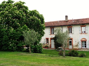 Façade sud de la maison avec le marronnier pour ombrage.