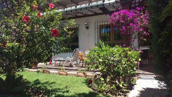 Garden and front of house