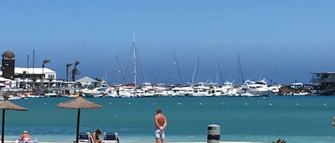 Local beach and Marina