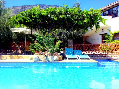 Fascinating property among olive trees with private pool, BBQ ... perfect for fa