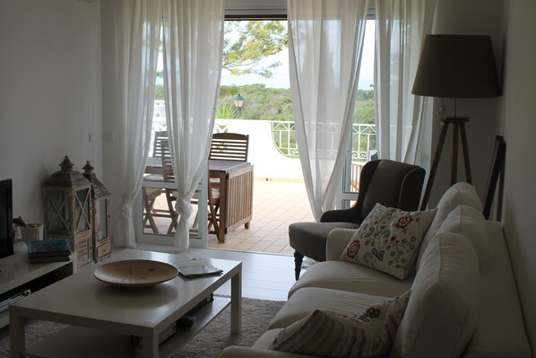 Living Room and rooftop