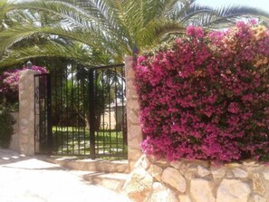 Garden, Park