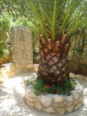 Garden, Park