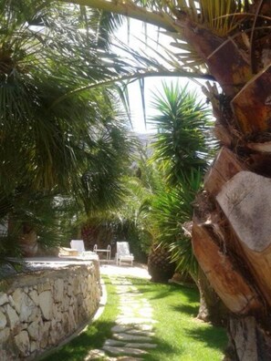 Garden, Park