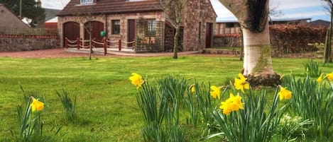 Alemill Spring flowers