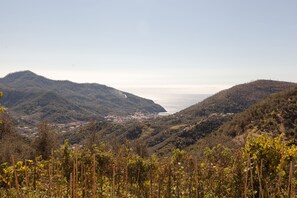 il golfo di Levanto visto da Dosso