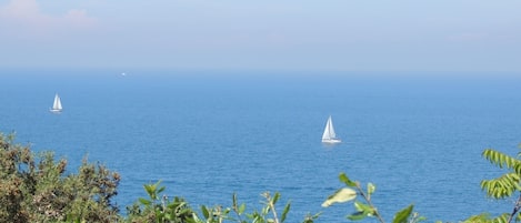 Vista dalla terrazza