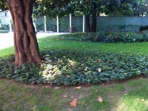 Property grounds