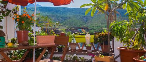 terraza con vistas al macizo de Tamadaba