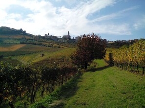 The village of Diano. A view from the vineyard adjacent the courtyard.