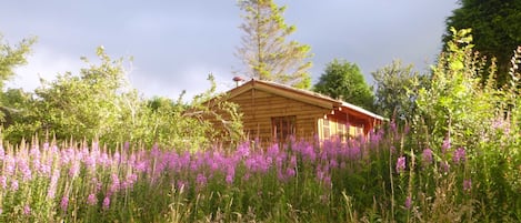 Damson Cabin side view