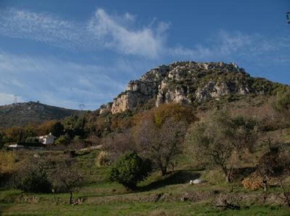 Blick aufs Gebirge