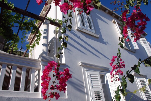 Exterior detail