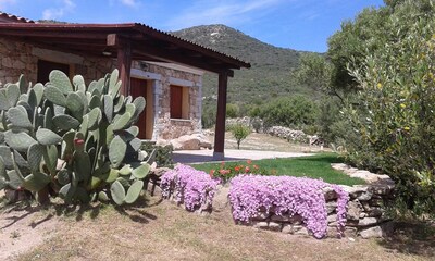 Ferienhaus / Villa - Olbia