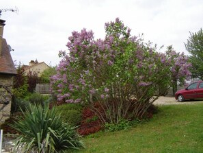 Garten, Park