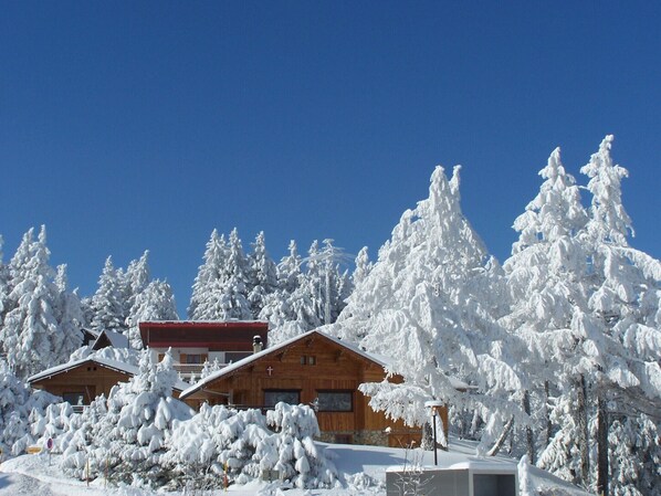 Exteriör