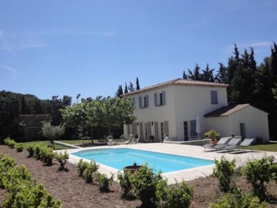 Beautiful contemporary Provençal Bastide surrounded by vineyards, shaded by plane trees