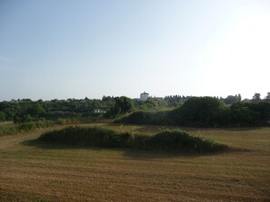 The view from the terraces