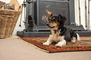 Open fire in the sitting room. Dogs are welcome.