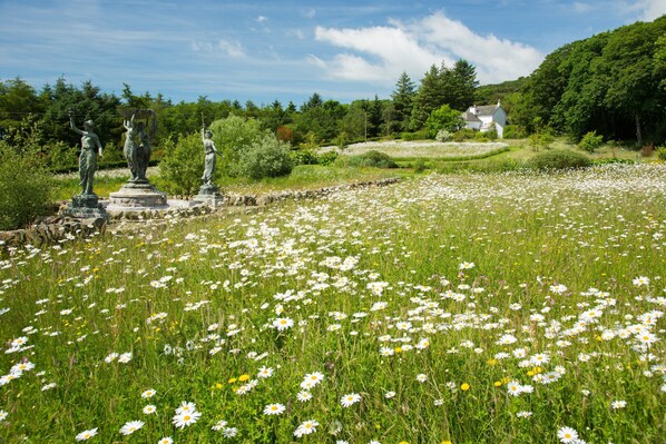 View over Orroland's wildflower meadow to Cutlar's Lodge