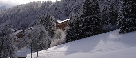 Sports dâhiver