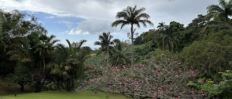 Terrenos do alojamento